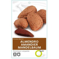 ALMENDRO