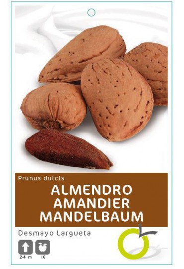 ALMENDRO