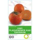 KAKI ROJO BRILLANTE