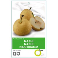 NASHI SHINSEIKI