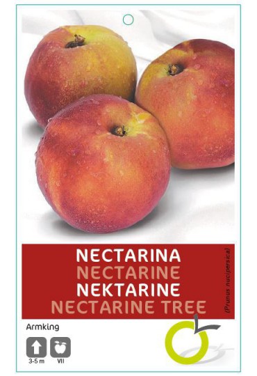 NECTARINA ARKINS