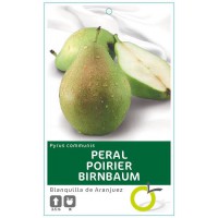 PERAL BLANQUILLA DE ARANJU