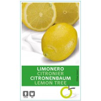 LIMONERO CIT. LIMON