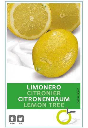 LIMONERO CIT. LIMON