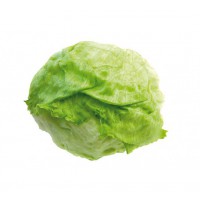 LECHUGA ICEBERG