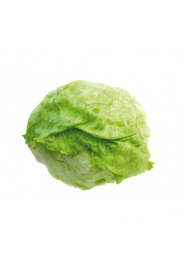 LECHUGA ICEBERG