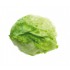 LECHUGA ICEBERG PACK 12