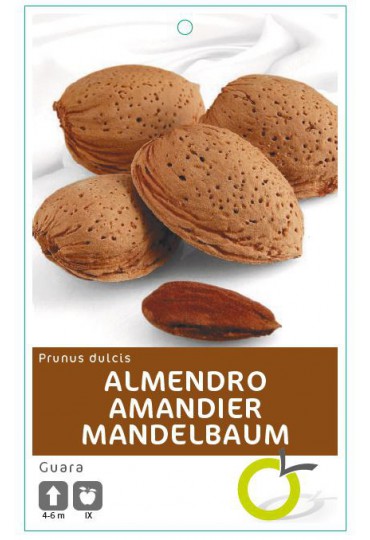 ALMENDRO GUARA