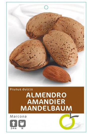 ALMENDRO MARCONA