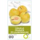 CIRUELO GOLDEN JAPAN