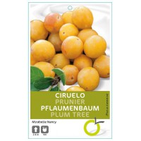 CIRUELO MIRABELLE DE NANCY