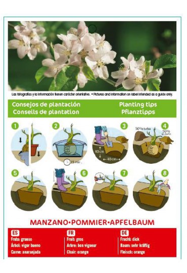 MANZANO FUJI 