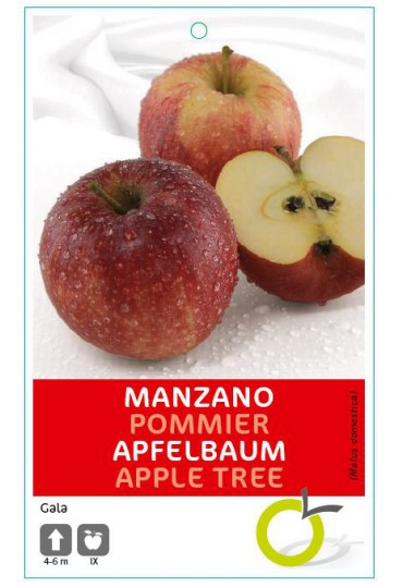 MANZANO GALA