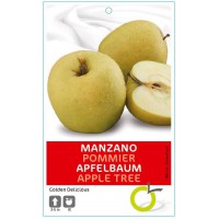 MANZANO GOLDEN DELICIUS