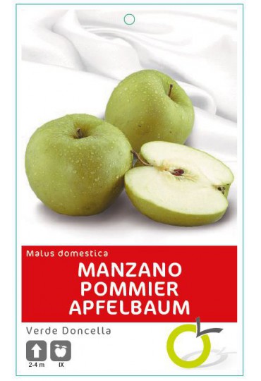 MANZANO VERDE DONCELLA 