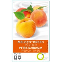 MELOCOTONERO BABY GOLD