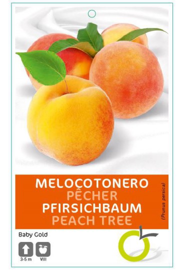 MELOCOTONERO BABY GOLD