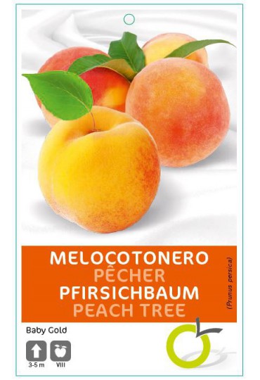 MELOCOTONERO BABY GOLD