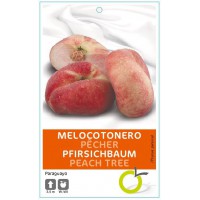 MELOCOTONERO PARAGUAYO