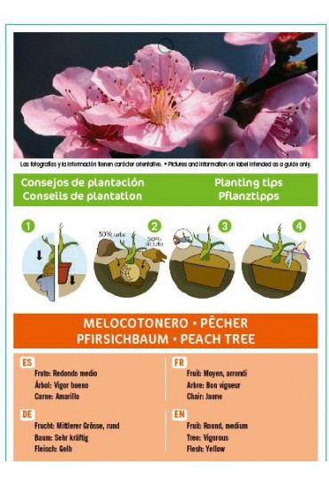 MELOCOTONERO SPRING CREST 