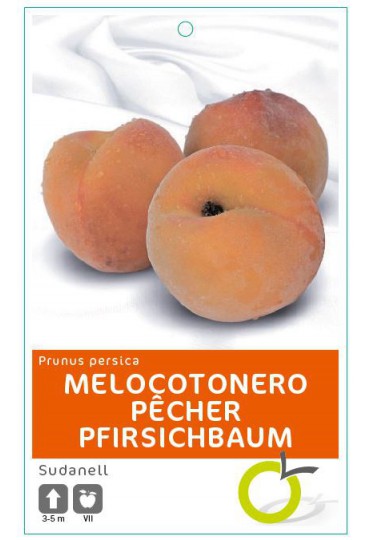 MELOCOTONERO SUDANELL