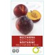 NECTARINA SNOW QUEEN