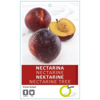 NECTARINA SNOW QUEEN