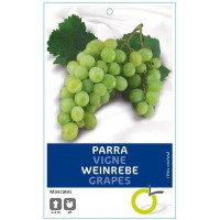 PARRA MOSCATEL