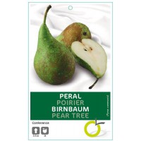 PERAL CONFERENCE 