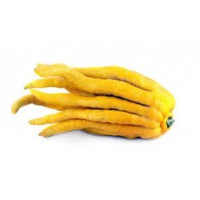 MANO DE BUDA