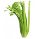 APIO VERDE PACK 6