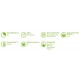 APIO VERDE PACK 6