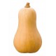 CALABAZA CACAHUETE