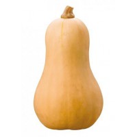 CALABAZA CACAHUETE