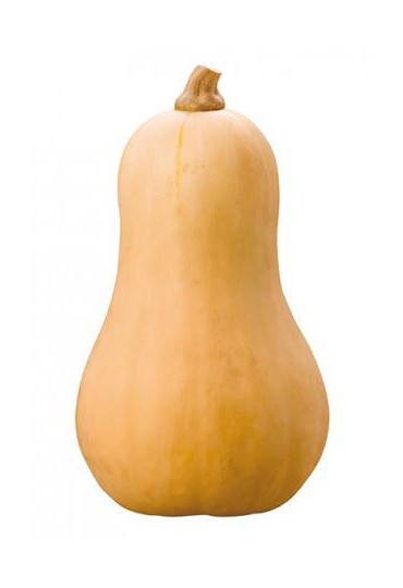 CALABAZA CACAHUETE