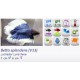 BETTA HEMBRA LUNA LLENA