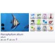 ESCALAR PERU ALTUM PLATINUM