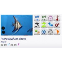 ESCALAR PERU ALTUM PLATINUM