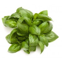 ALBAHACA CANELA ECO