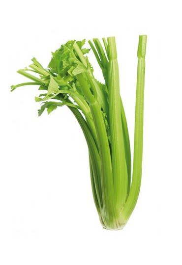 APIO VERDE