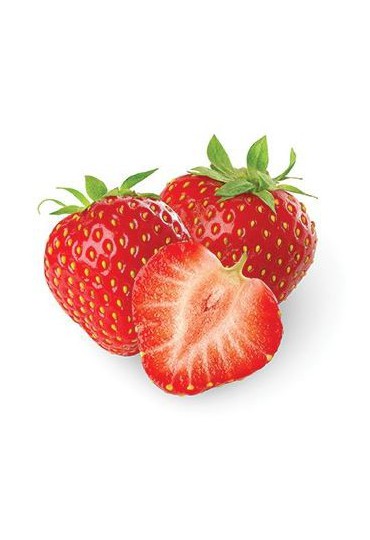 FRESAS ECOLOGICAS