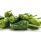 PIMIENTO PADRON DULCE/PICANTE