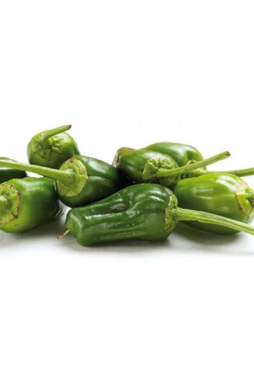 PIMIENTO PADRON DULCE/PICANTE