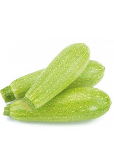 CALABACIN VERDE/ BLANCO / REDONDO 