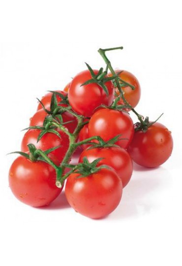 TOMATE CHERRY REDONDO