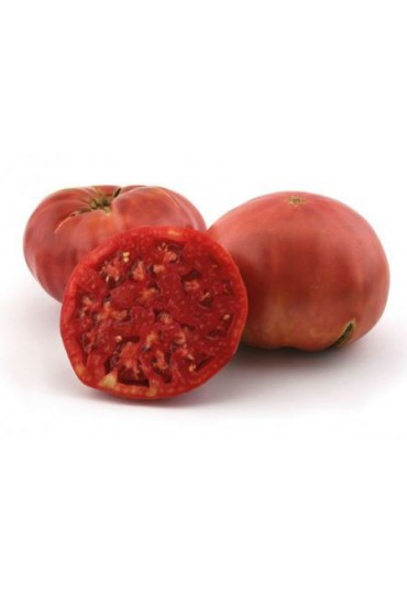 TOMATE ROSA