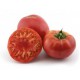 TOMATE MORADO