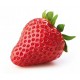FRESA 