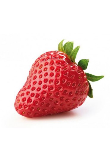 FRESA 