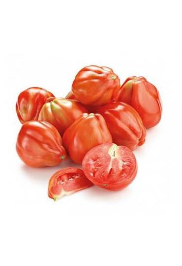 TOMATO CUOR DI BUE